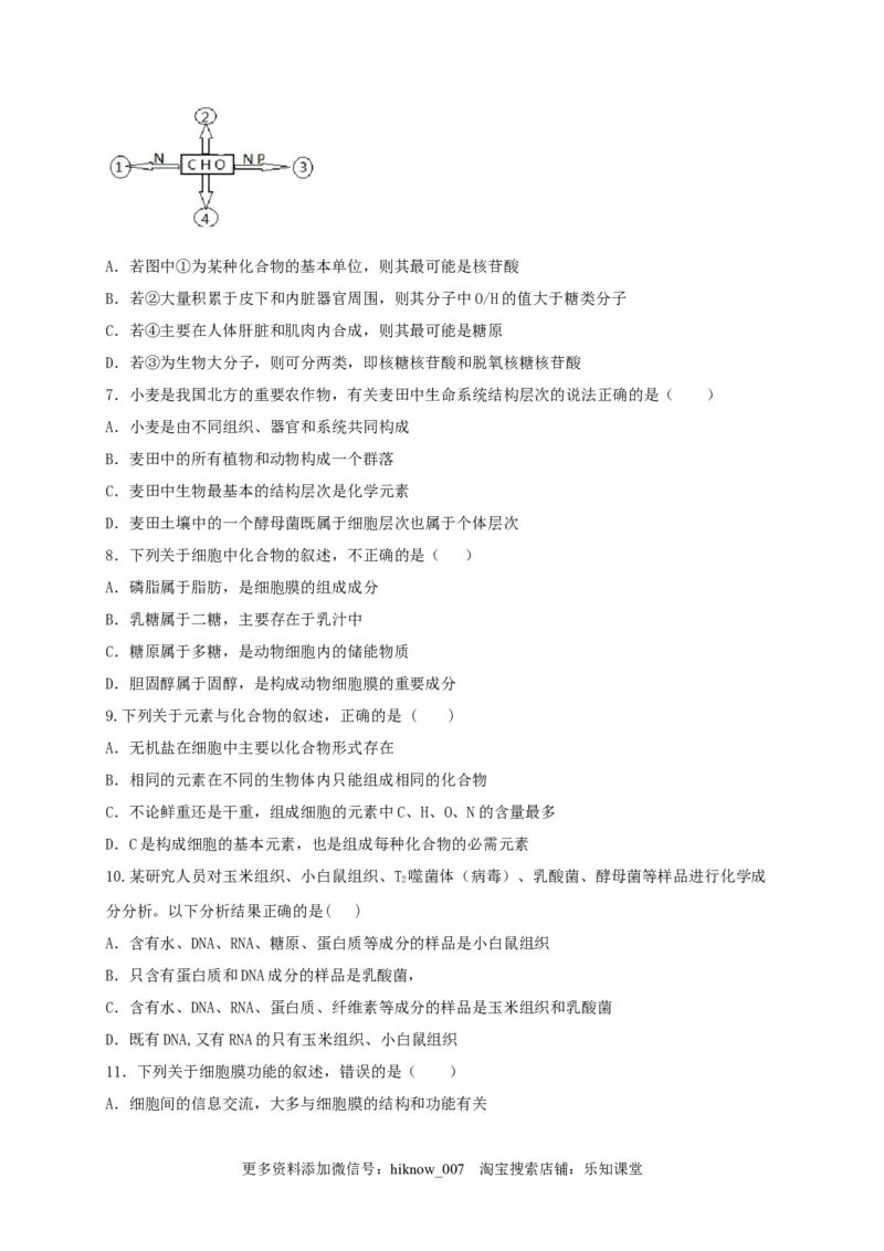 高一生物上学期期末测试卷01（人教版必修1）（原卷版）_E015高中全科试卷_生物试题_必修1_4.期末试卷_1.模拟题_高一生物上学期期末测试卷01（人教版必修1）