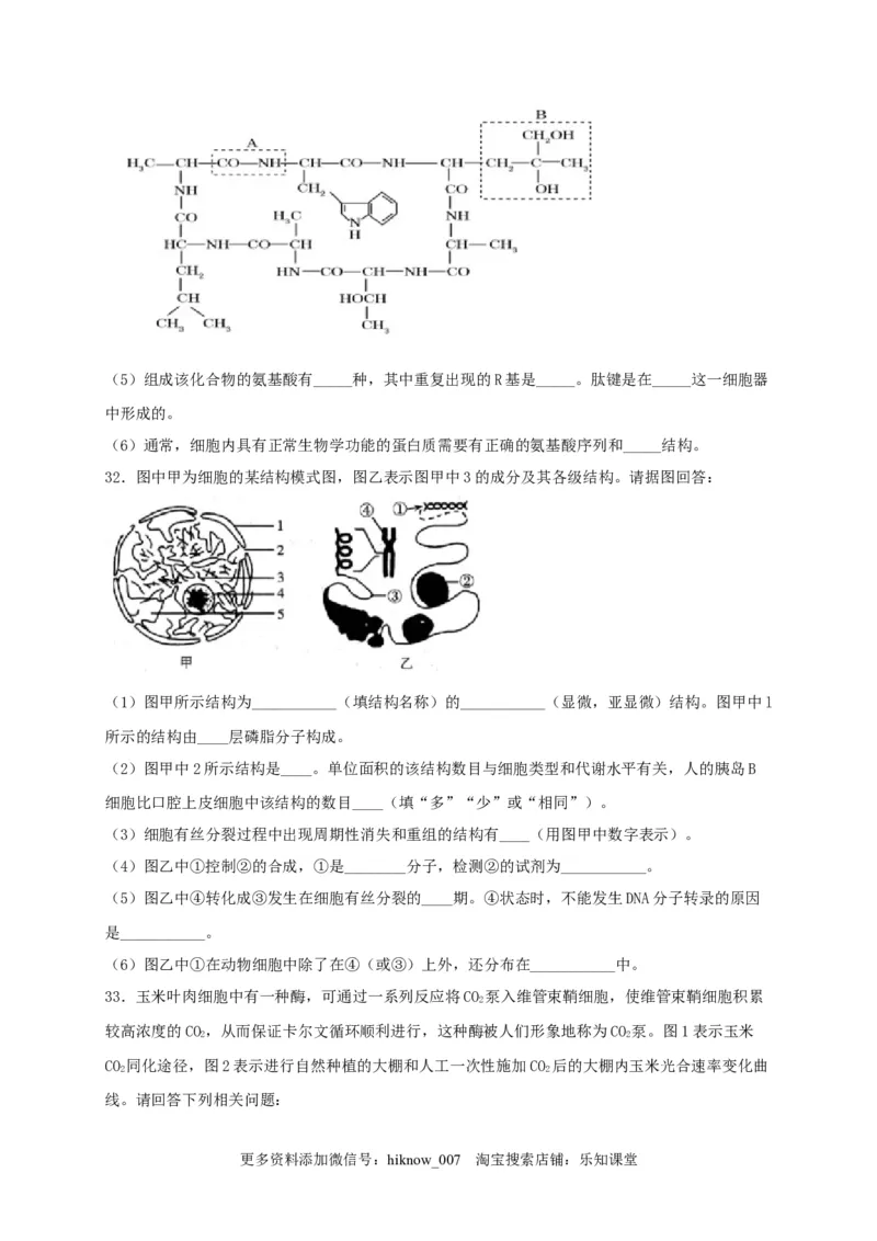 高一生物上学期期末测试卷01（人教版必修1）（原卷版）_E015高中全科试卷_生物试题_必修1_4.期末试卷_1.模拟题_高一生物上学期期末测试卷01（人教版必修1）