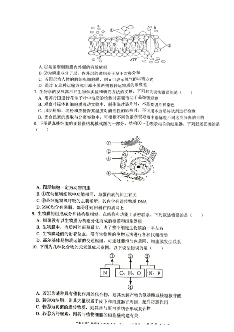 浙江省&ldquo;南太湖&rdquo;联盟2024-2025学年高一上学期12月第二次联考试题生物PDF版含答案_2024-2025高一（7-7月题库）_2025年01月试卷