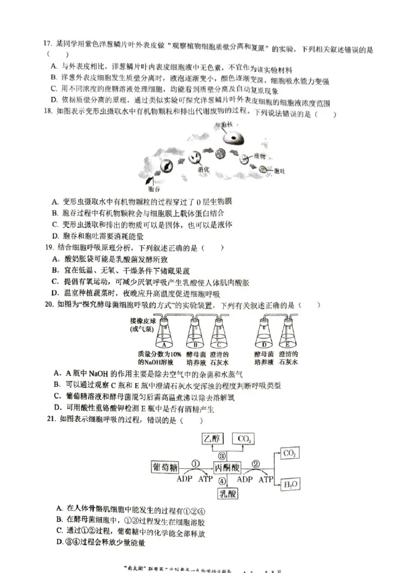 浙江省&ldquo;南太湖&rdquo;联盟2024-2025学年高一上学期12月第二次联考试题生物PDF版含答案_2024-2025高一（7-7月题库）_2025年01月试卷