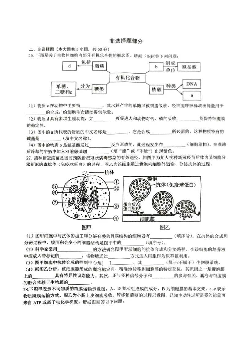 浙江省&ldquo;南太湖&rdquo;联盟2024-2025学年高一上学期12月第二次联考试题生物PDF版含答案_2024-2025高一（7-7月题库）_2025年01月试卷