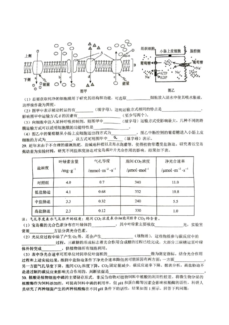 浙江省&ldquo;南太湖&rdquo;联盟2024-2025学年高一上学期12月第二次联考试题生物PDF版含答案_2024-2025高一（7-7月题库）_2025年01月试卷
