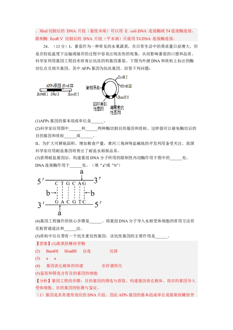 第3章基因工程（基础突破卷）-2022-2023学年高二生物基础与培优高效突破测试卷（人教版2019选择性必修3）（解析版）_E015高中全科试卷_生物试题_选修3_1.单元测试_1.单元测试2023