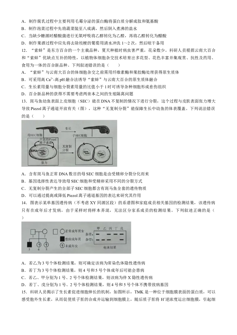 广西2024届高三下学期新教材新高考桂柳信息冲刺金卷（四）生物Word版含解析(1)_2024年5月_025月合集_2024届广西高三下学期新教材新高考桂柳信息冲刺金卷（四
