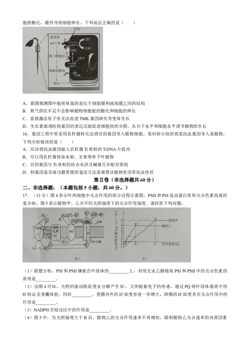 广西2024届高三下学期新教材新高考桂柳信息冲刺金卷（四）生物Word版含解析(1)_2024年5月_025月合集_2024届广西高三下学期新教材新高考桂柳信息冲刺金卷（四
