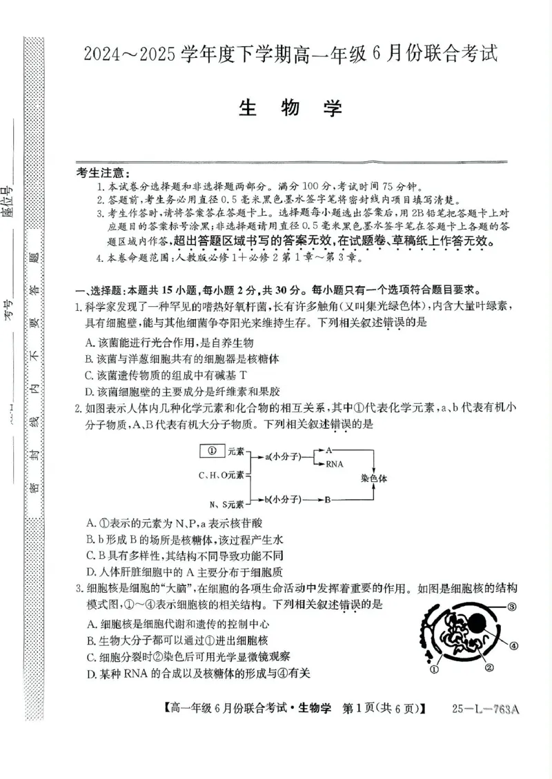 辽宁省朝阳市多校2024-2025学年高一下学期6月联合考试生物PDF版无答案_2024-2025高一（7-7月题库）_2025年7月_250702辽宁省朝阳市多校2024-2025学年高一下学期6月联合考试