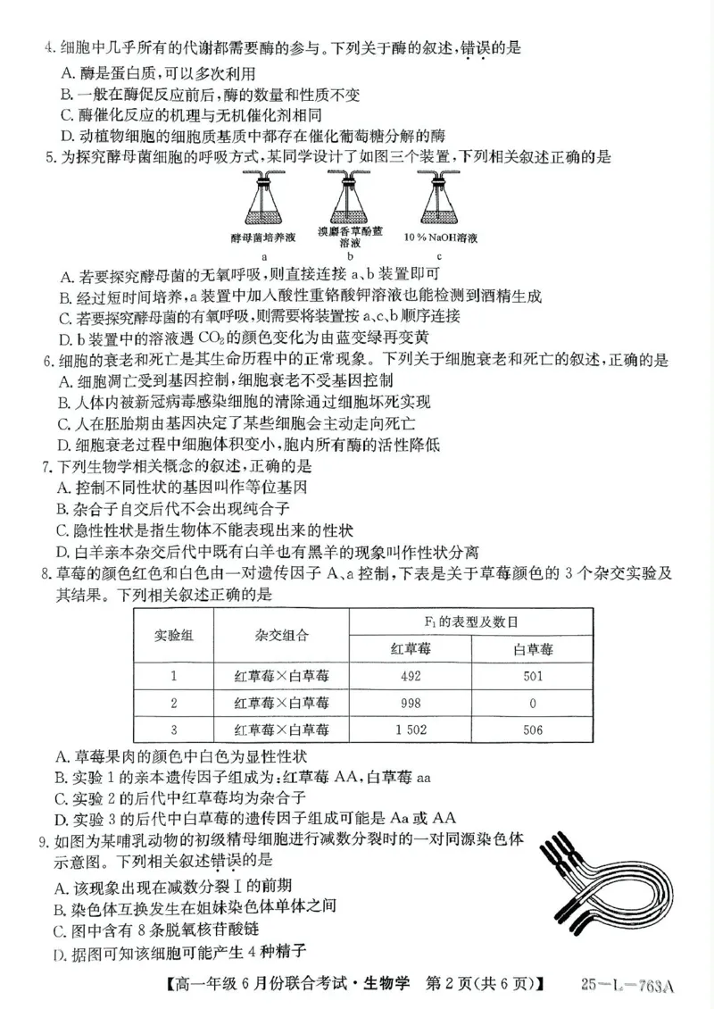辽宁省朝阳市多校2024-2025学年高一下学期6月联合考试生物PDF版无答案_2024-2025高一（7-7月题库）_2025年7月_250702辽宁省朝阳市多校2024-2025学年高一下学期6月联合考试