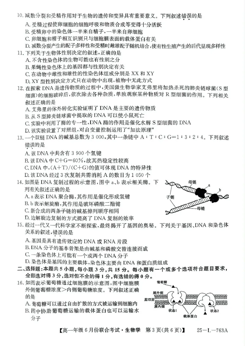 辽宁省朝阳市多校2024-2025学年高一下学期6月联合考试生物PDF版无答案_2024-2025高一（7-7月题库）_2025年7月_250702辽宁省朝阳市多校2024-2025学年高一下学期6月联合考试