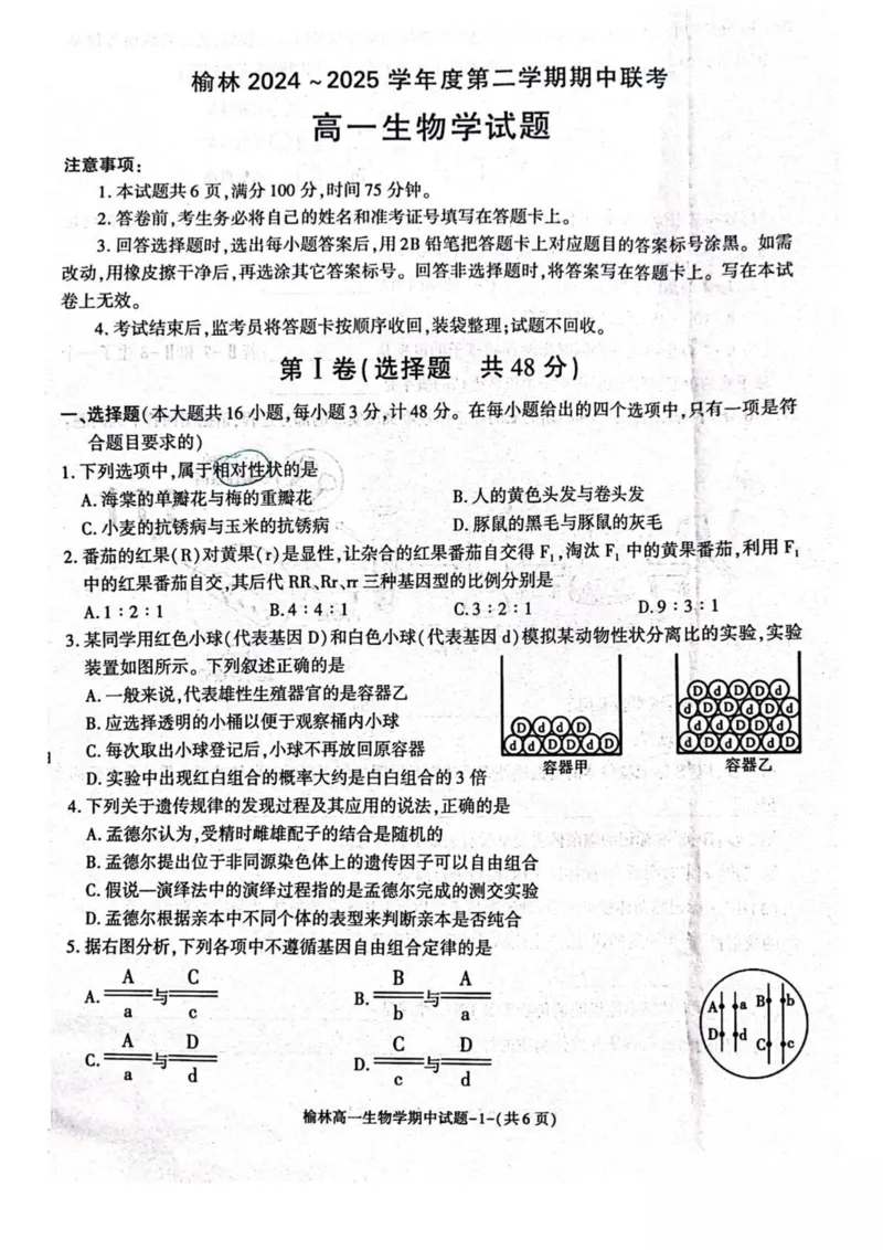 陕西省榆林市2024-2025学年高一下学期期中联考试题生物PDF版含答案_2024-2025高一（7-7月题库）_2025年05月试卷_0504陕西省榆林市2024-2025学年高一下学期期中联考试题