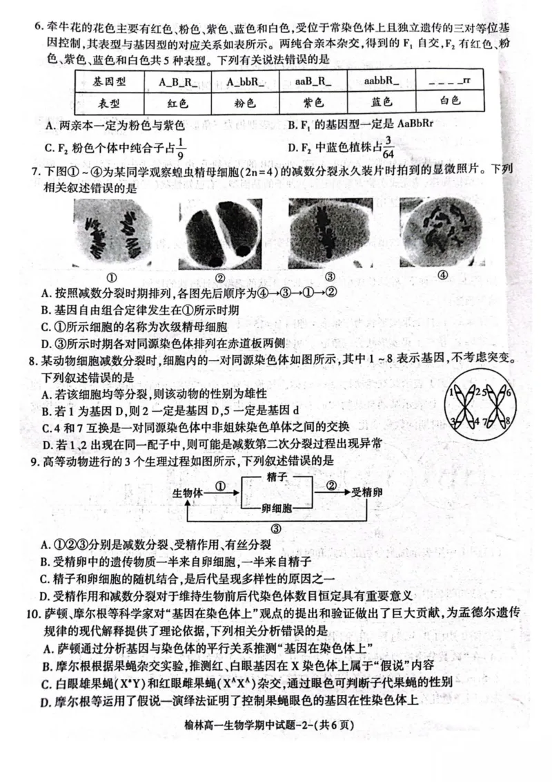 陕西省榆林市2024-2025学年高一下学期期中联考试题生物PDF版含答案_2024-2025高一（7-7月题库）_2025年05月试卷_0504陕西省榆林市2024-2025学年高一下学期期中联考试题