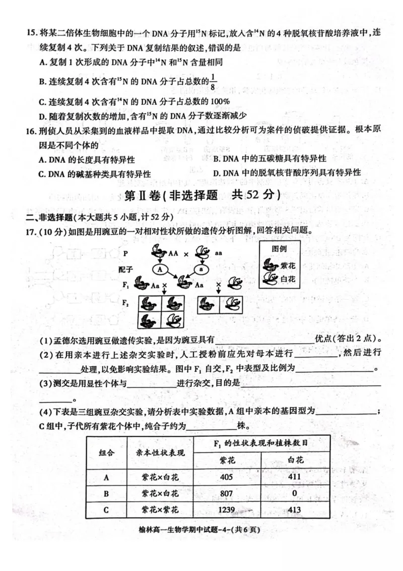 陕西省榆林市2024-2025学年高一下学期期中联考试题生物PDF版含答案_2024-2025高一（7-7月题库）_2025年05月试卷_0504陕西省榆林市2024-2025学年高一下学期期中联考试题