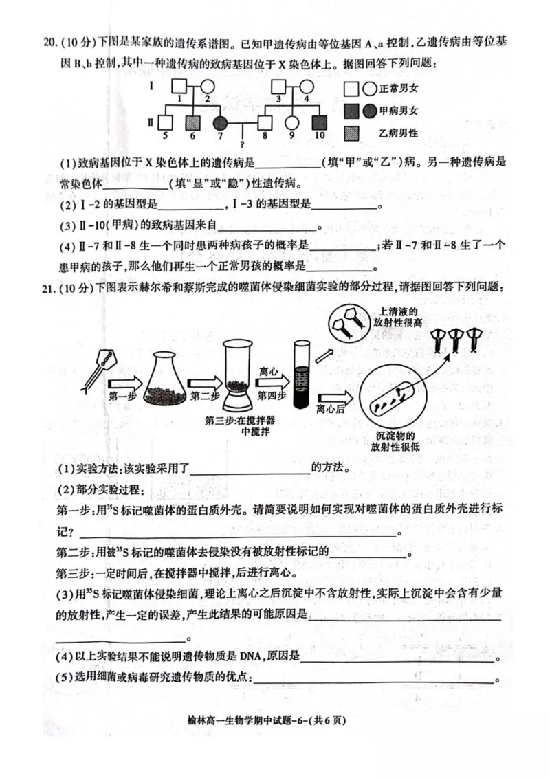 陕西省榆林市2024-2025学年高一下学期期中联考试题生物PDF版含答案_2024-2025高一（7-7月题库）_2025年05月试卷_0504陕西省榆林市2024-2025学年高一下学期期中联考试题