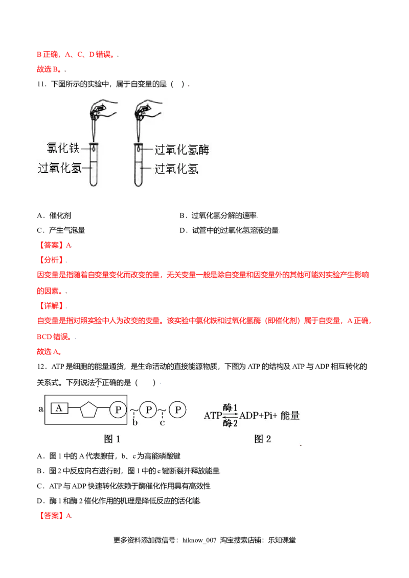 第五章章末测试-高一生物课后培优练（人教版2019必修1）（解析版）_E015高中全科试卷_生物试题_必修1_1.单元测试_2.单元测试（第二套）