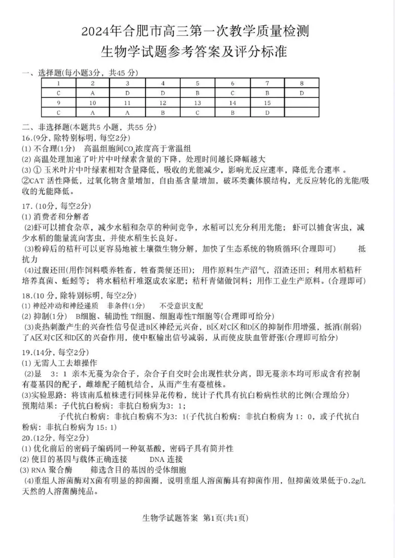 合肥一摸生物答案_2024年3月_013月合集_2024届安徽省合肥市高三第一次教学质量检查_安徽省合肥市2024届高三第一次教学质量检查生物