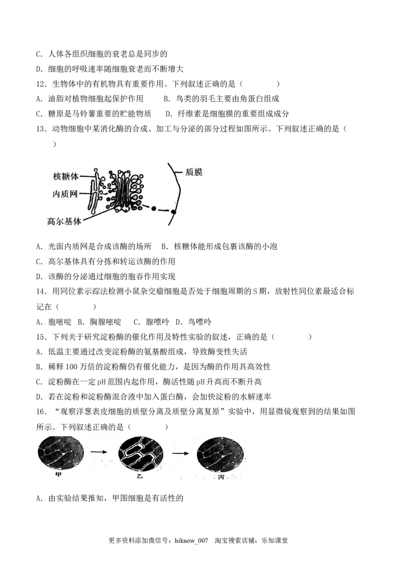 综合拉练卷01（原卷版）_E015高中全科试卷_生物试题_必修1_4.期末试卷_1.模拟题_综合拉练卷01-2022-2023学年上学期高一生物期末考试综合拉练卷（人教版2019必修1）