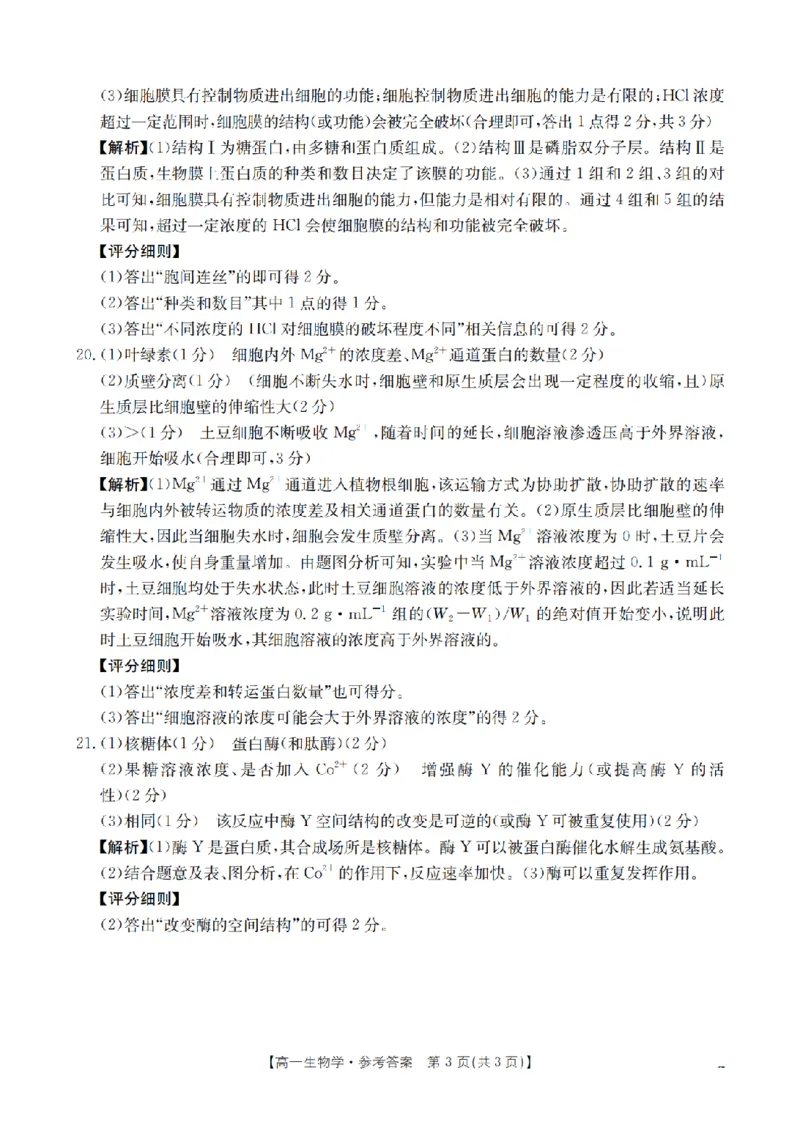 生物答案_扫描版_2024-2025高一（7-7月题库）_2026年1月高一_260127河南省豫北创新发展联盟2025-2026学年高一上学期第一次质量检测试题（全）