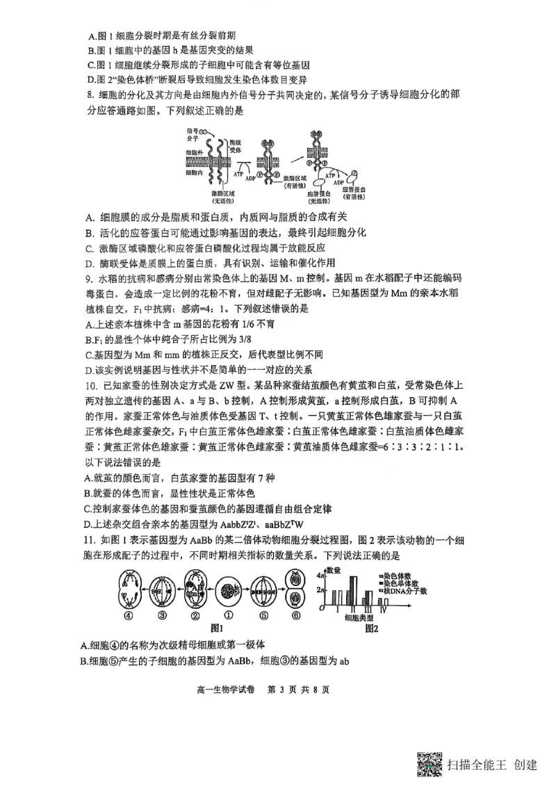 重庆市巴蜀中学校2024-2025学年高一下学期期末考试生物试题_2024-2025高一（7-7月题库）_2025年7月_250708重庆市巴蜀中学教育集团高2027届高一（下）期末考试
