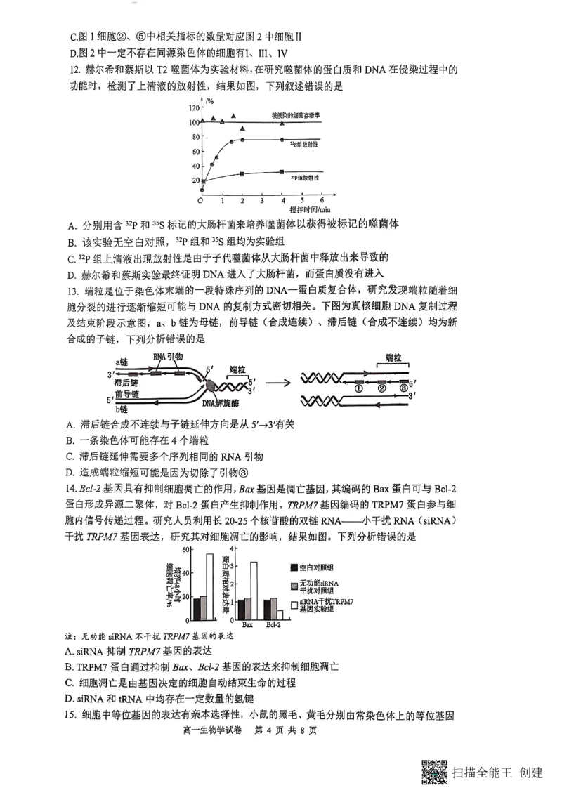 重庆市巴蜀中学校2024-2025学年高一下学期期末考试生物试题_2024-2025高一（7-7月题库）_2025年7月_250708重庆市巴蜀中学教育集团高2027届高一（下）期末考试