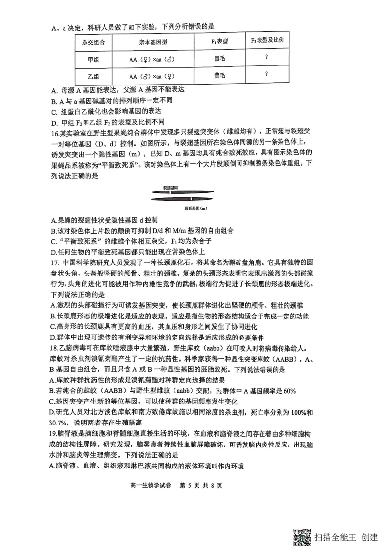 重庆市巴蜀中学校2024-2025学年高一下学期期末考试生物试题_2024-2025高一（7-7月题库）_2025年7月_250708重庆市巴蜀中学教育集团高2027届高一（下）期末考试