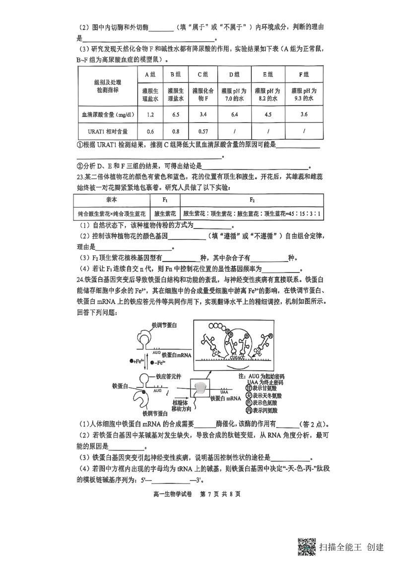 重庆市巴蜀中学校2024-2025学年高一下学期期末考试生物试题_2024-2025高一（7-7月题库）_2025年7月_250708重庆市巴蜀中学教育集团高2027届高一（下）期末考试