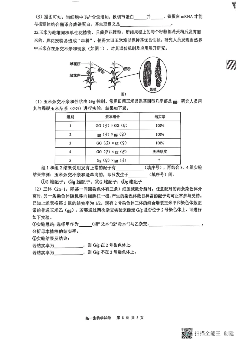 重庆市巴蜀中学校2024-2025学年高一下学期期末考试生物试题_2024-2025高一（7-7月题库）_2025年7月_250708重庆市巴蜀中学教育集团高2027届高一（下）期末考试