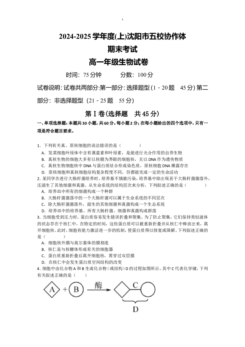 辽宁省沈阳市五校联考2024-2025学年度高一上学期期末考试生物试题(有答案)_2024-2025高一（7-7月题库）_2025年02月试卷_0207辽宁省沈阳市五校联考2024-2025学年度高一上学期期末