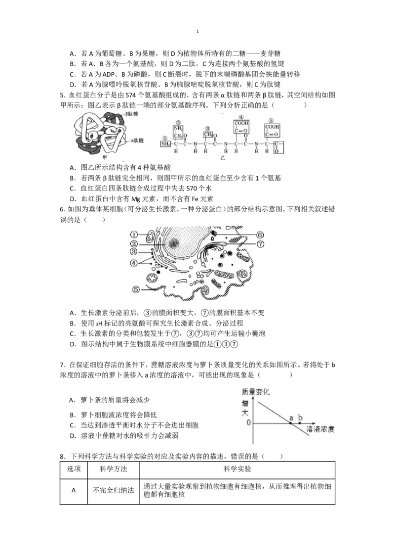 辽宁省沈阳市五校联考2024-2025学年度高一上学期期末考试生物试题(有答案)_2024-2025高一（7-7月题库）_2025年02月试卷_0207辽宁省沈阳市五校联考2024-2025学年度高一上学期期末
