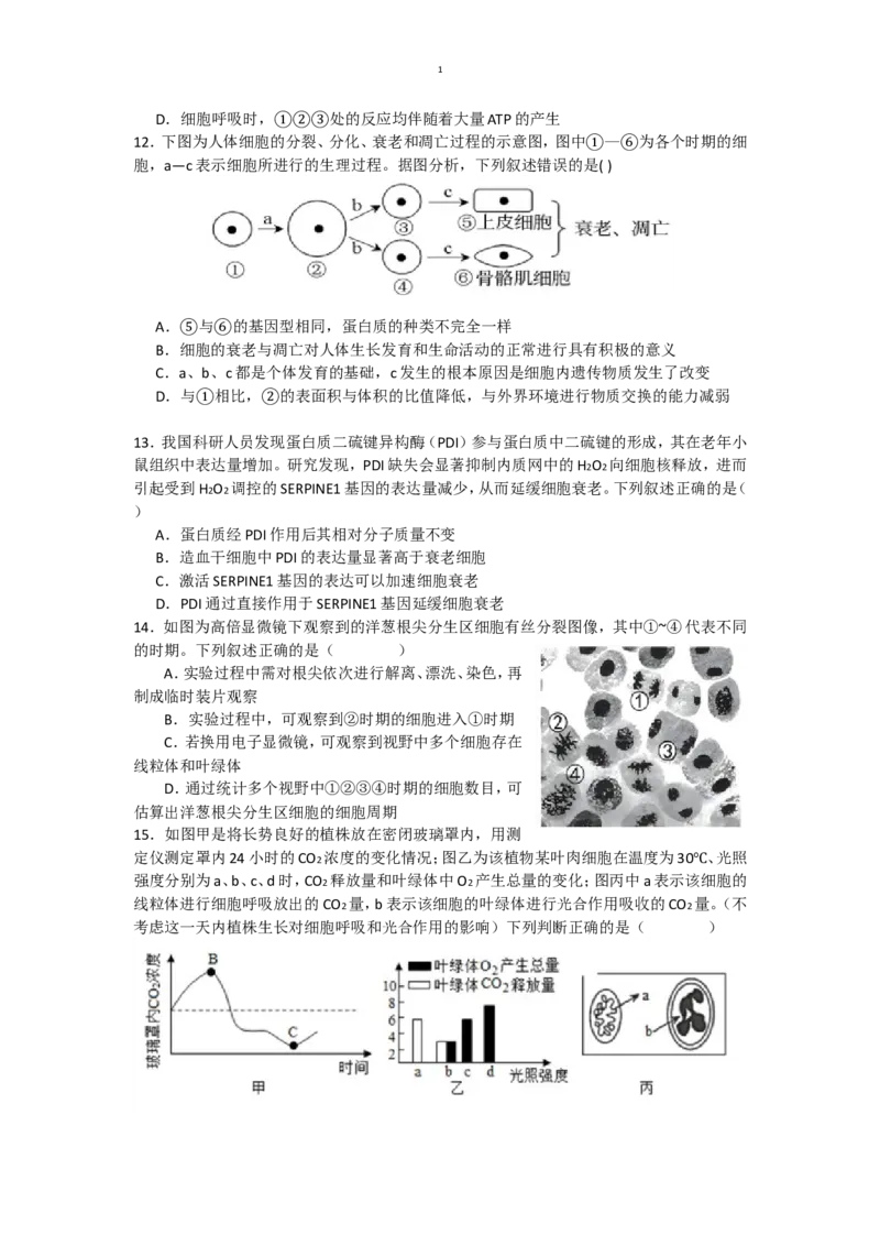 辽宁省沈阳市五校联考2024-2025学年度高一上学期期末考试生物试题(有答案)_2024-2025高一（7-7月题库）_2025年02月试卷_0207辽宁省沈阳市五校联考2024-2025学年度高一上学期期末