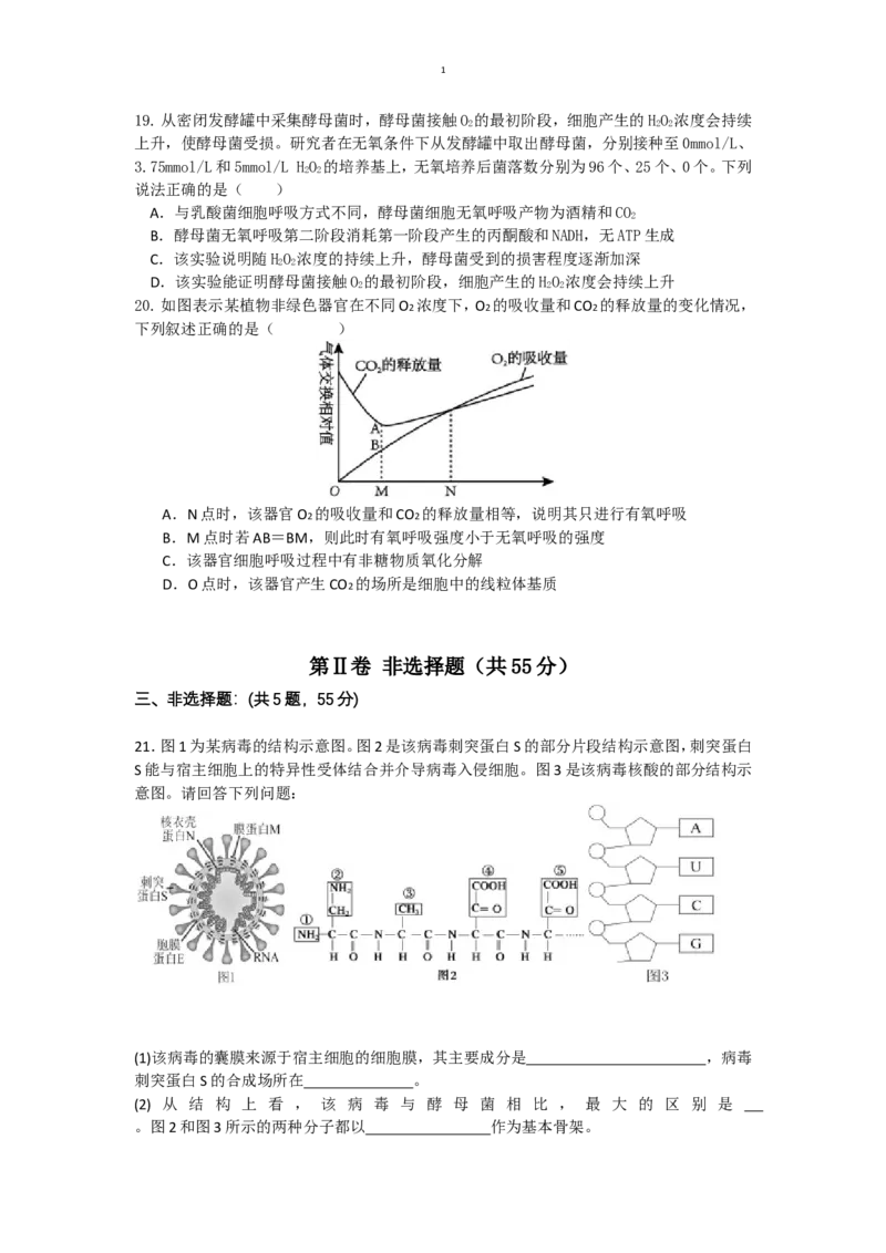 辽宁省沈阳市五校联考2024-2025学年度高一上学期期末考试生物试题(有答案)_2024-2025高一（7-7月题库）_2025年02月试卷_0207辽宁省沈阳市五校联考2024-2025学年度高一上学期期末