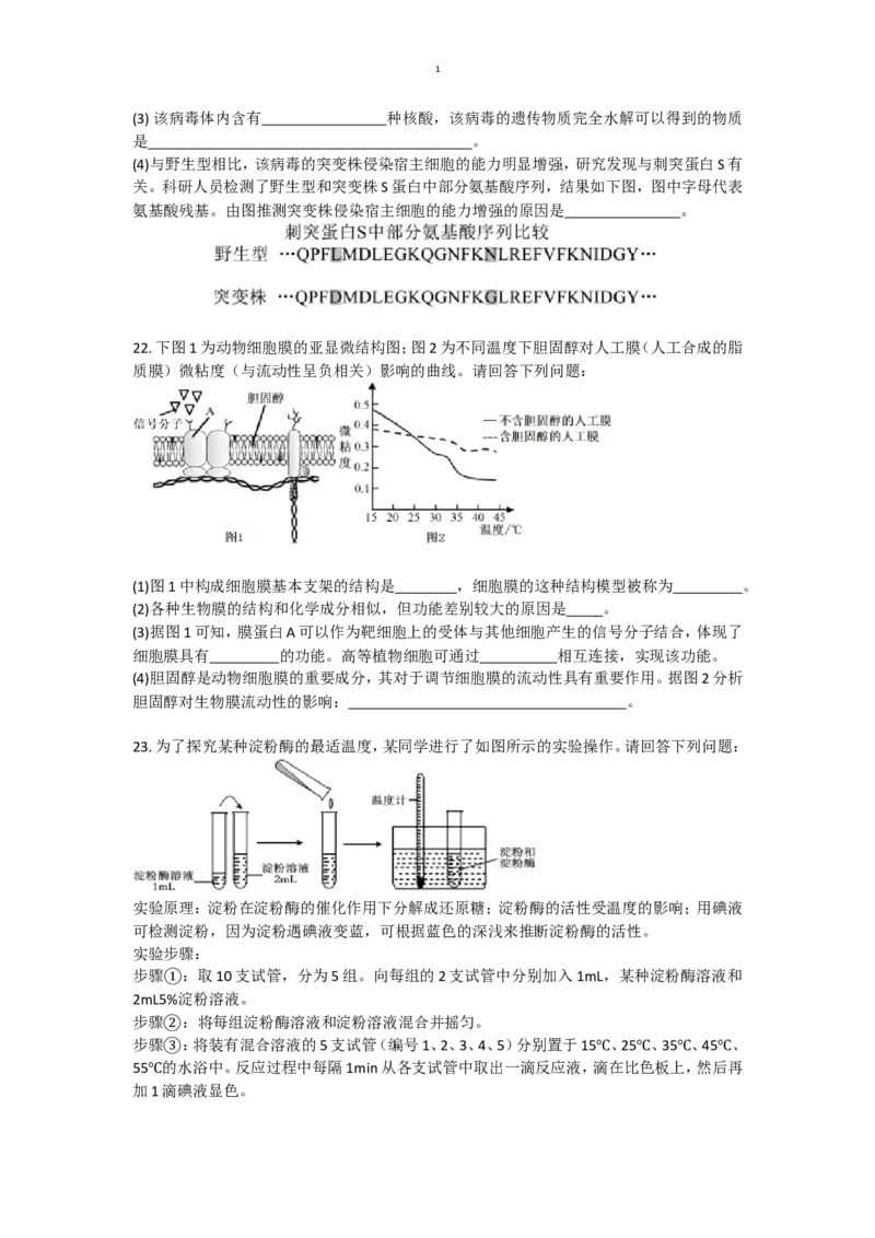 辽宁省沈阳市五校联考2024-2025学年度高一上学期期末考试生物试题(有答案)_2024-2025高一（7-7月题库）_2025年02月试卷_0207辽宁省沈阳市五校联考2024-2025学年度高一上学期期末