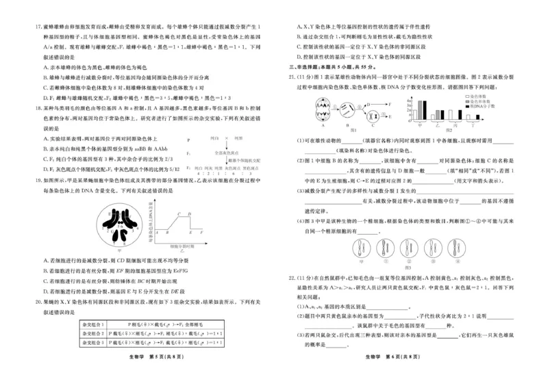 辽宁省县域重点高中2024-2025学年高一下学期期中生物试卷（扫描版有解析）_2024-2025高一（7-7月题库）_2025年05月试卷_0525辽宁省县域重点高中2024-2025学年高一下学期期中考试