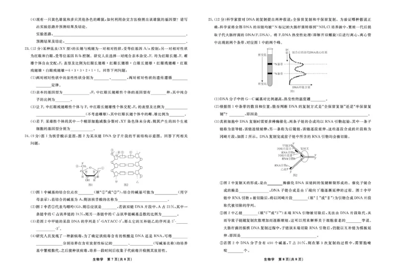 辽宁省县域重点高中2024-2025学年高一下学期期中生物试卷（扫描版有解析）_2024-2025高一（7-7月题库）_2025年05月试卷_0525辽宁省县域重点高中2024-2025学年高一下学期期中考试