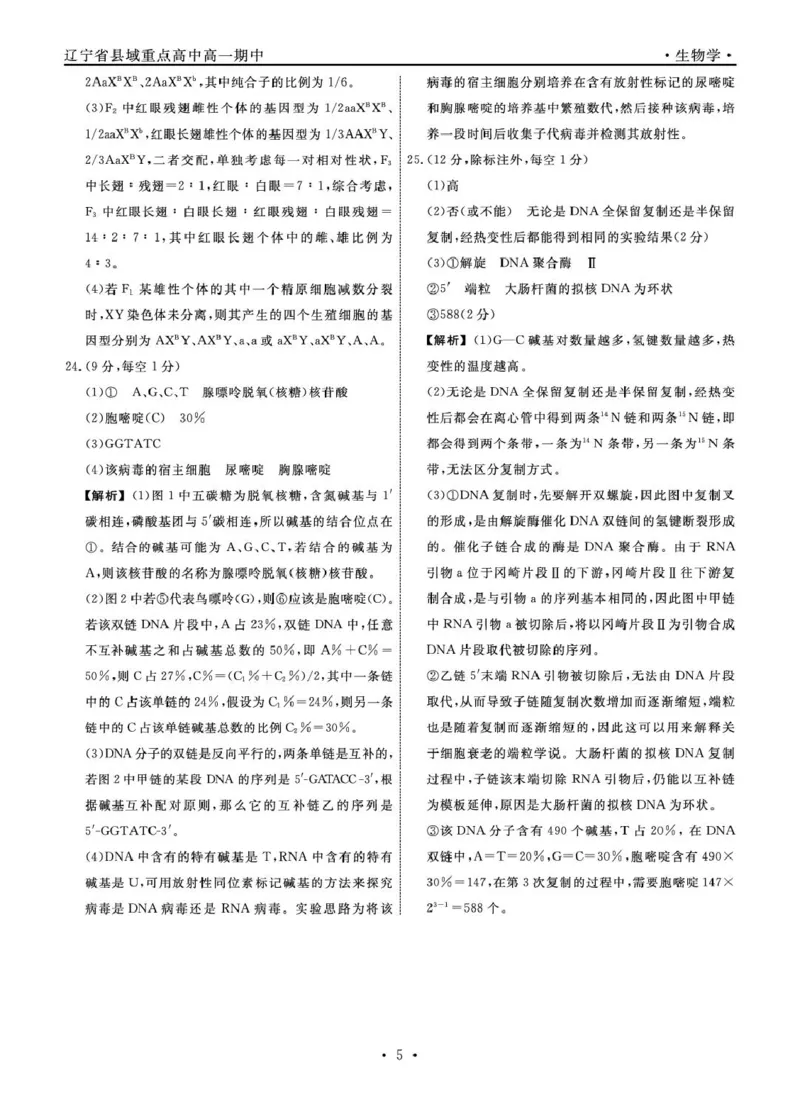 辽宁省县域重点高中2024-2025学年高一下学期期中生物试卷（扫描版有解析）_2024-2025高一（7-7月题库）_2025年05月试卷_0525辽宁省县域重点高中2024-2025学年高一下学期期中考试