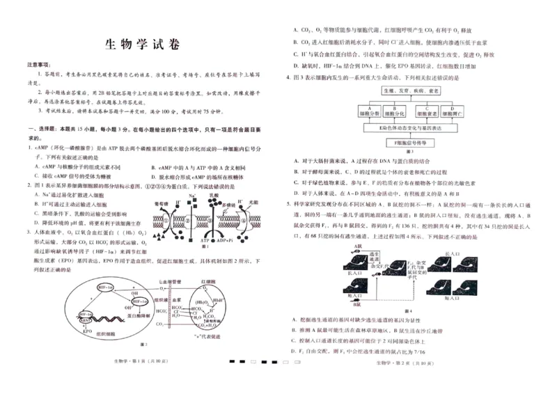 巴蜀中学2024届高考适应性4月月考生物_2024年4月_01按日期_30号_2024届重庆市巴蜀中学高三4月适应性月考卷（九）_重庆市巴蜀中学校2024届高三下学期高考适应性月考卷（九）生物试题