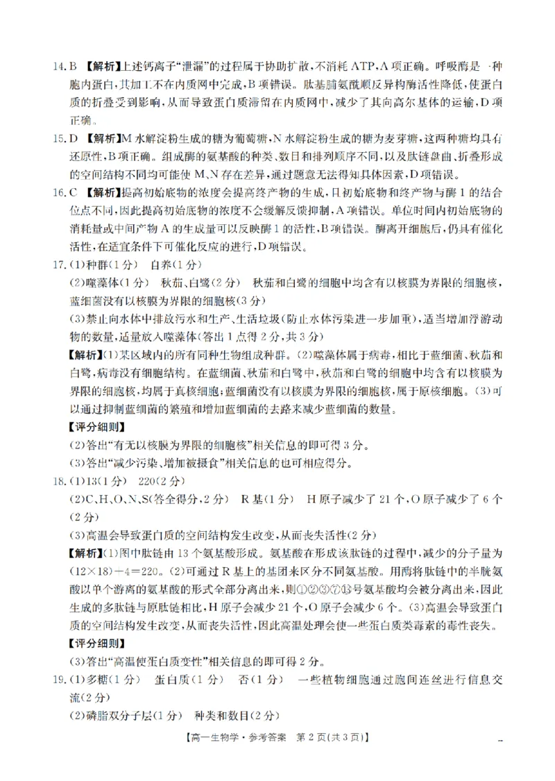 河南省2025-2026年度高一年级上学期第三次月考试卷（26-179A）生物答案_2024-2025高一（7-7月题库）_2026年1月高一