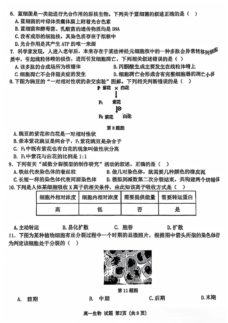 浙江省精诚联盟2024-2025学年高一下学期3月月考生物试题（PDF版，含答案）_2024-2025高一（7-7月题库）_2025年03月试卷_0316浙江省精诚联盟2024-2025学年高一下学期3月月考
