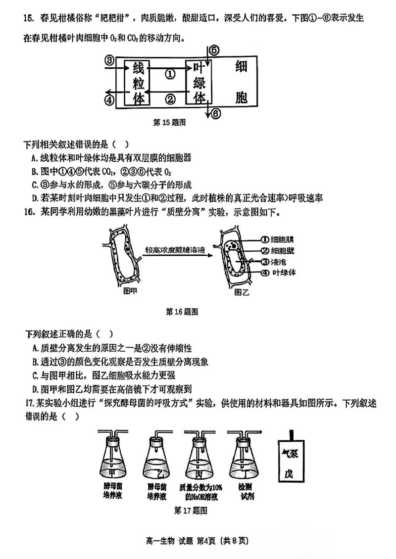 浙江省精诚联盟2024-2025学年高一下学期3月月考生物试题（PDF版，含答案）_2024-2025高一（7-7月题库）_2025年03月试卷_0316浙江省精诚联盟2024-2025学年高一下学期3月月考