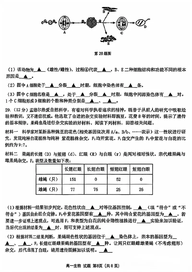 浙江省精诚联盟2024-2025学年高一下学期3月月考生物试题（PDF版，含答案）_2024-2025高一（7-7月题库）_2025年03月试卷_0316浙江省精诚联盟2024-2025学年高一下学期3月月考