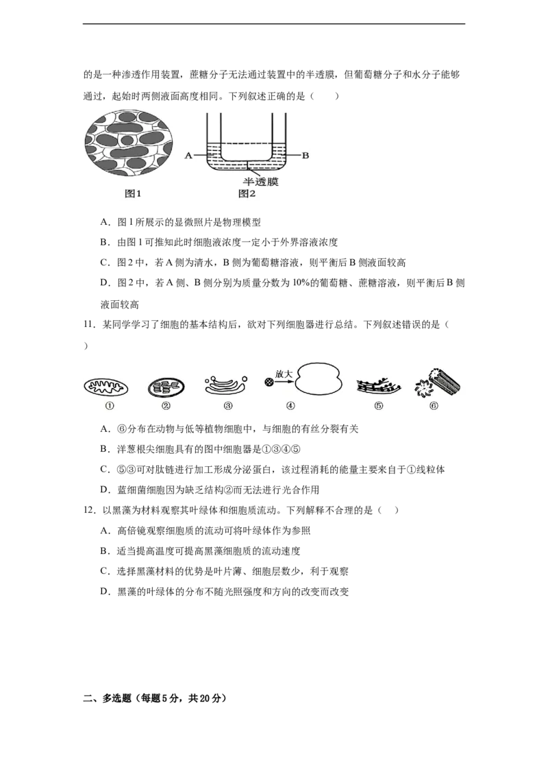 湖南省岳阳市汨罗市第二中学2025-2026学年高一上学期12月月考生物试题（含答案）_2024-2025高一（7-7月题库）_2026年1月高一_332