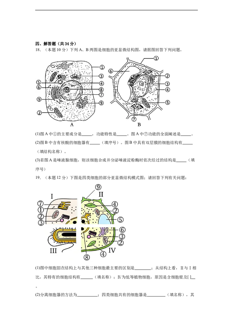 湖南省岳阳市汨罗市第二中学2025-2026学年高一上学期12月月考生物试题（含答案）_2024-2025高一（7-7月题库）_2026年1月高一_332