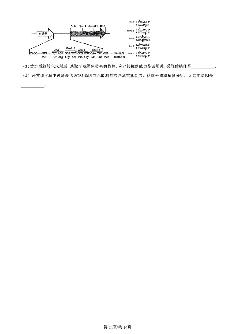 吉林生物（含答案）(1)_2024年2月_2024年九省联考各版本合集_黑龙江吉林（物化生政史地）