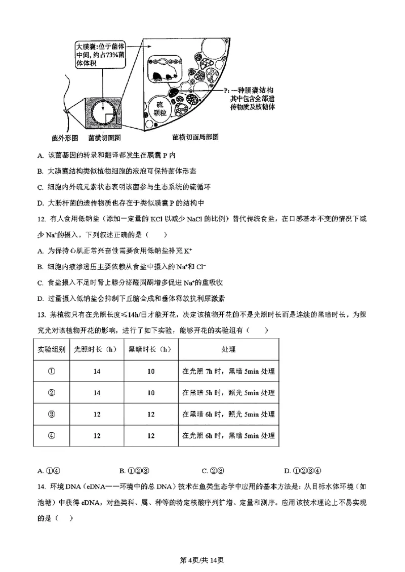 吉林生物（含答案）(1)_2024年2月_2024年九省联考各版本合集_黑龙江吉林（物化生政史地）