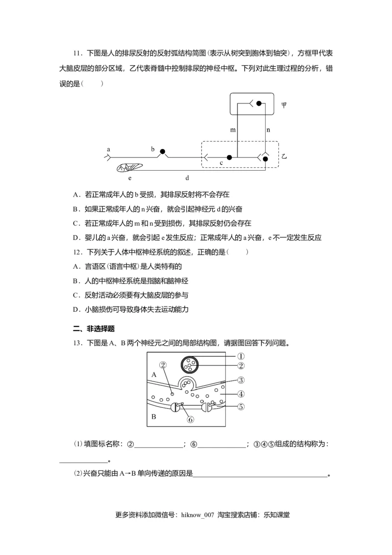 第2章神经调节练习2022-2023学年高二上学期生物人教版选择性必修1_E015高中全科试卷_生物试题_选修1_1.单元测试_2.单元测试（第二套）_第二章