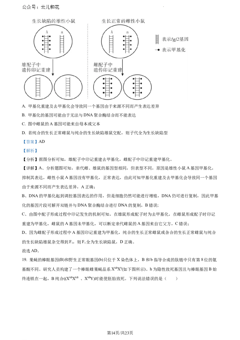 辽宁省沈阳市五校协作体2023-2024学年高一下学期期末联考生物试题（解析版）_2024-2025高一（7-7月题库）_2024年8月试卷_0824辽宁省沈阳市五校协作体2023-2024学年高一下学期期末联考