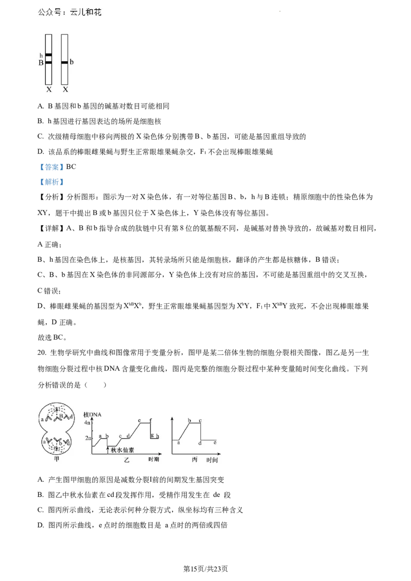 辽宁省沈阳市五校协作体2023-2024学年高一下学期期末联考生物试题（解析版）_2024-2025高一（7-7月题库）_2024年8月试卷_0824辽宁省沈阳市五校协作体2023-2024学年高一下学期期末联考