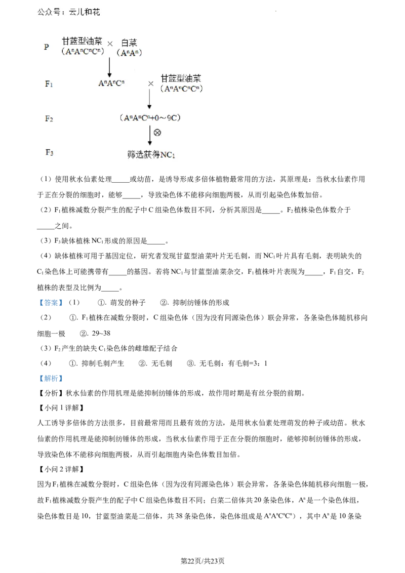 辽宁省沈阳市五校协作体2023-2024学年高一下学期期末联考生物试题（解析版）_2024-2025高一（7-7月题库）_2024年8月试卷_0824辽宁省沈阳市五校协作体2023-2024学年高一下学期期末联考