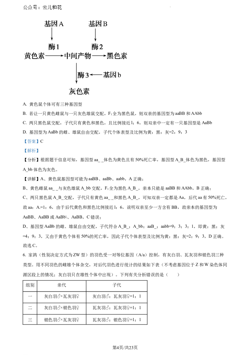 辽宁省沈阳市五校协作体2023-2024学年高一下学期期末联考生物试题（解析版）_2024-2025高一（7-7月题库）_2024年8月试卷_0824辽宁省沈阳市五校协作体2023-2024学年高一下学期期末联考