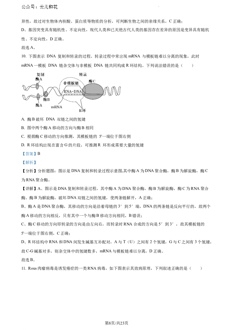 辽宁省沈阳市五校协作体2023-2024学年高一下学期期末联考生物试题（解析版）_2024-2025高一（7-7月题库）_2024年8月试卷_0824辽宁省沈阳市五校协作体2023-2024学年高一下学期期末联考
