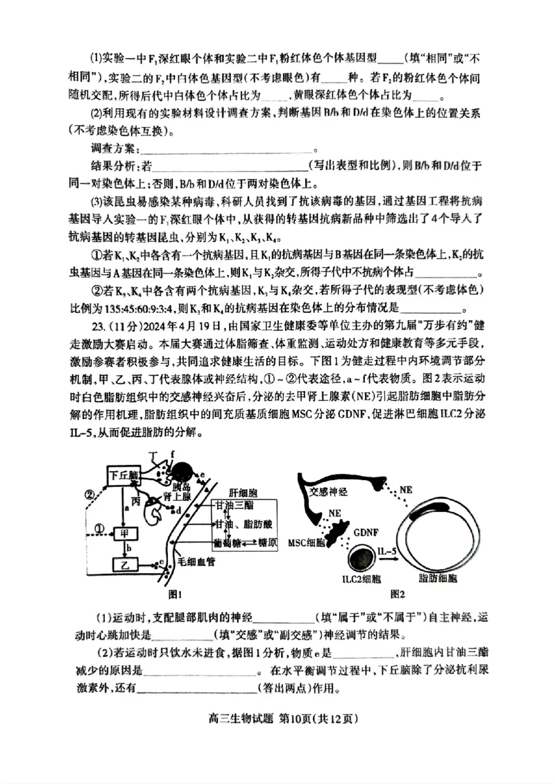 山东省泰安市2024年(届)高三年级四轮检测(泰安四模)生物试卷+答案(1)_2024年5月_025月合集_2024届山东省泰安市高三年级四轮检测