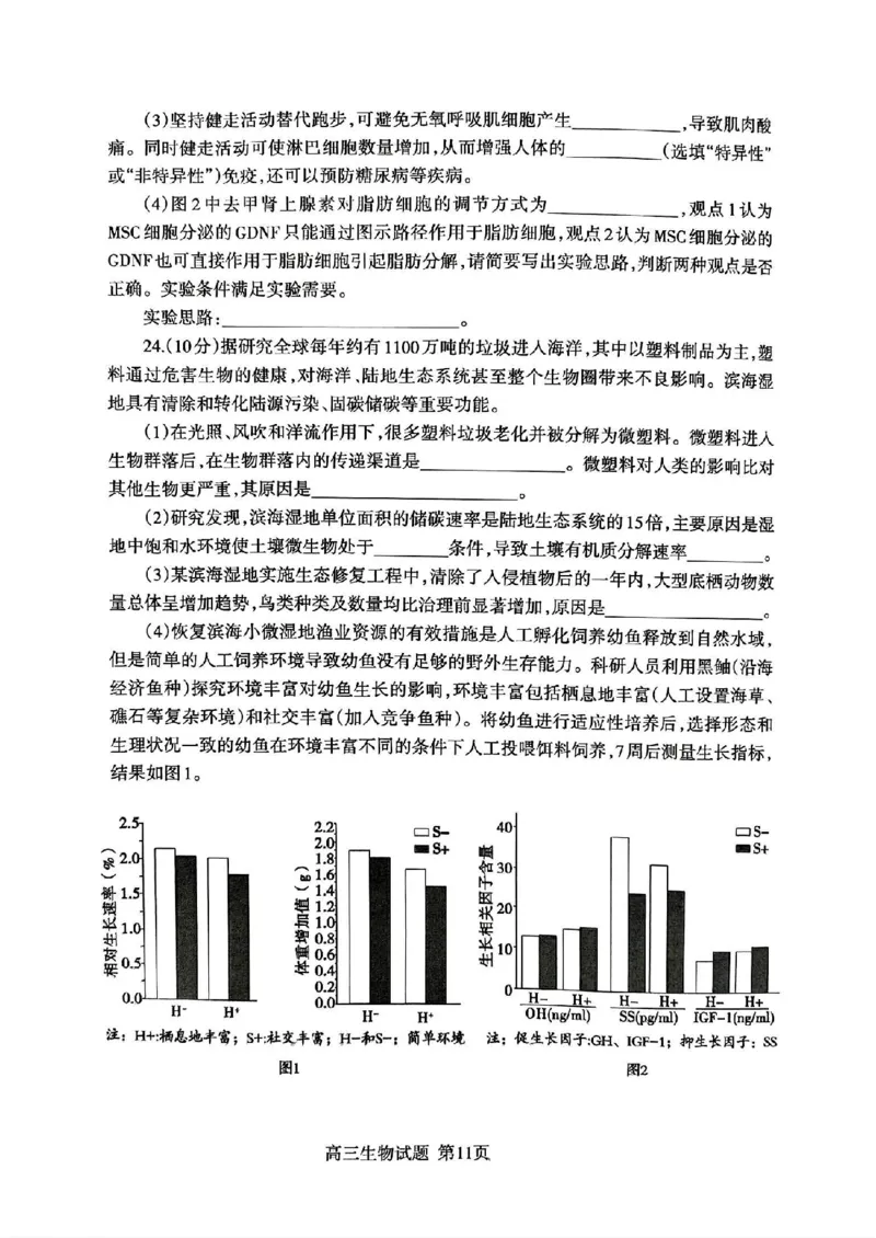 山东省泰安市2024年(届)高三年级四轮检测(泰安四模)生物试卷+答案(1)_2024年5月_025月合集_2024届山东省泰安市高三年级四轮检测